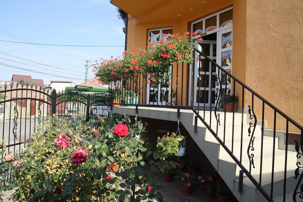 Pensiunea Amso Sibiu Esterno foto